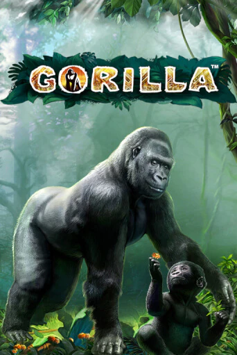 Gorilla бесплатная игра | Гранд Казино Беларусь без регистрации