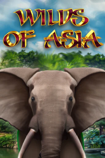 Wilds of Asia бесплатная игра | Гранд Казино Беларусь без регистрации