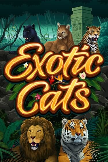 Exotic Cats бесплатная игра | Гранд Казино Беларусь без регистрации